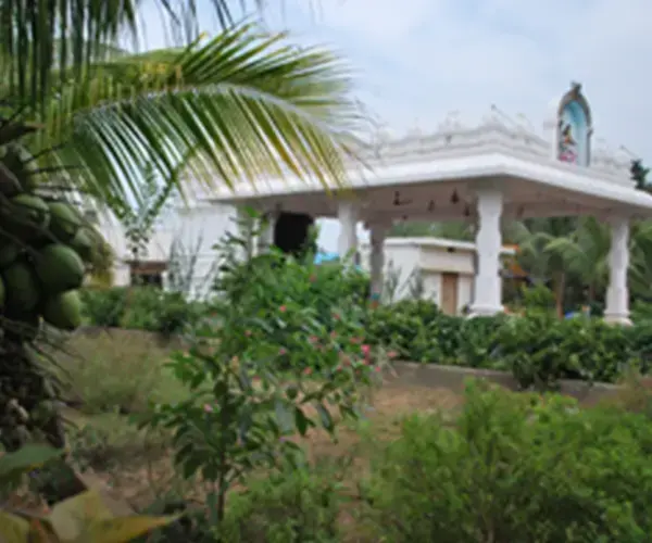 Balaji Institute of Pharmaceutical Sciences, Laknepally (V), Narsampet (M) campus photo 8