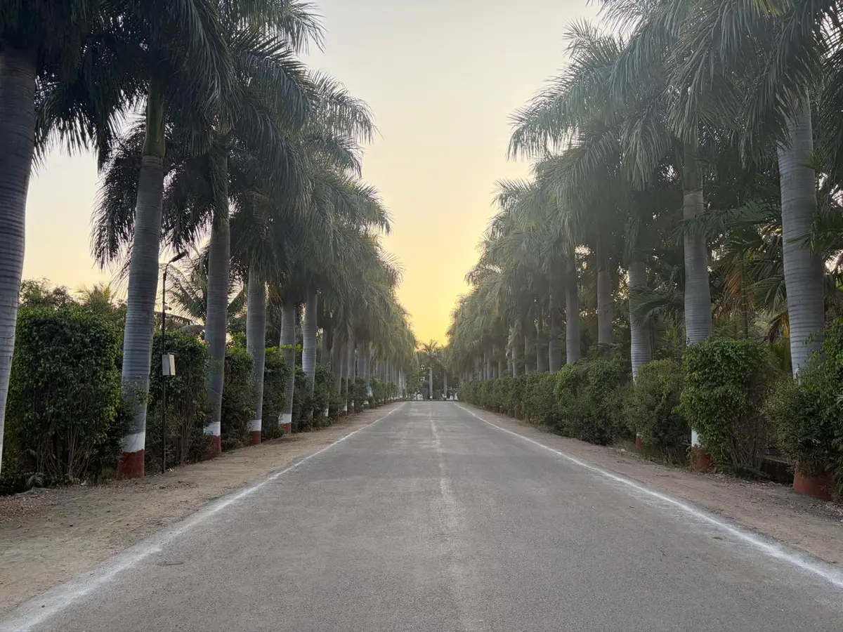 Bca College Bhanshiware campus photo 2