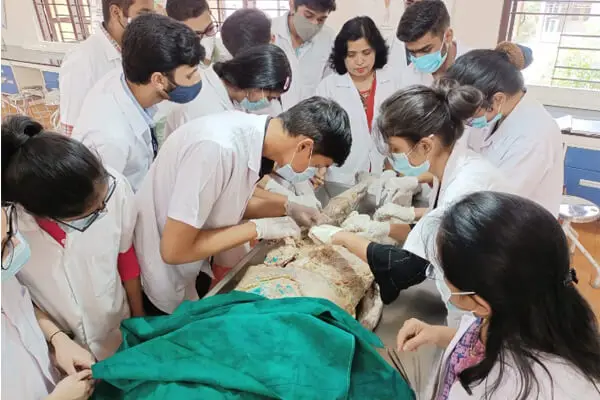 Bharat Ratna Atal Bihari Vajpayee Medical College and Teaching Hospital Pune campus photo 1
