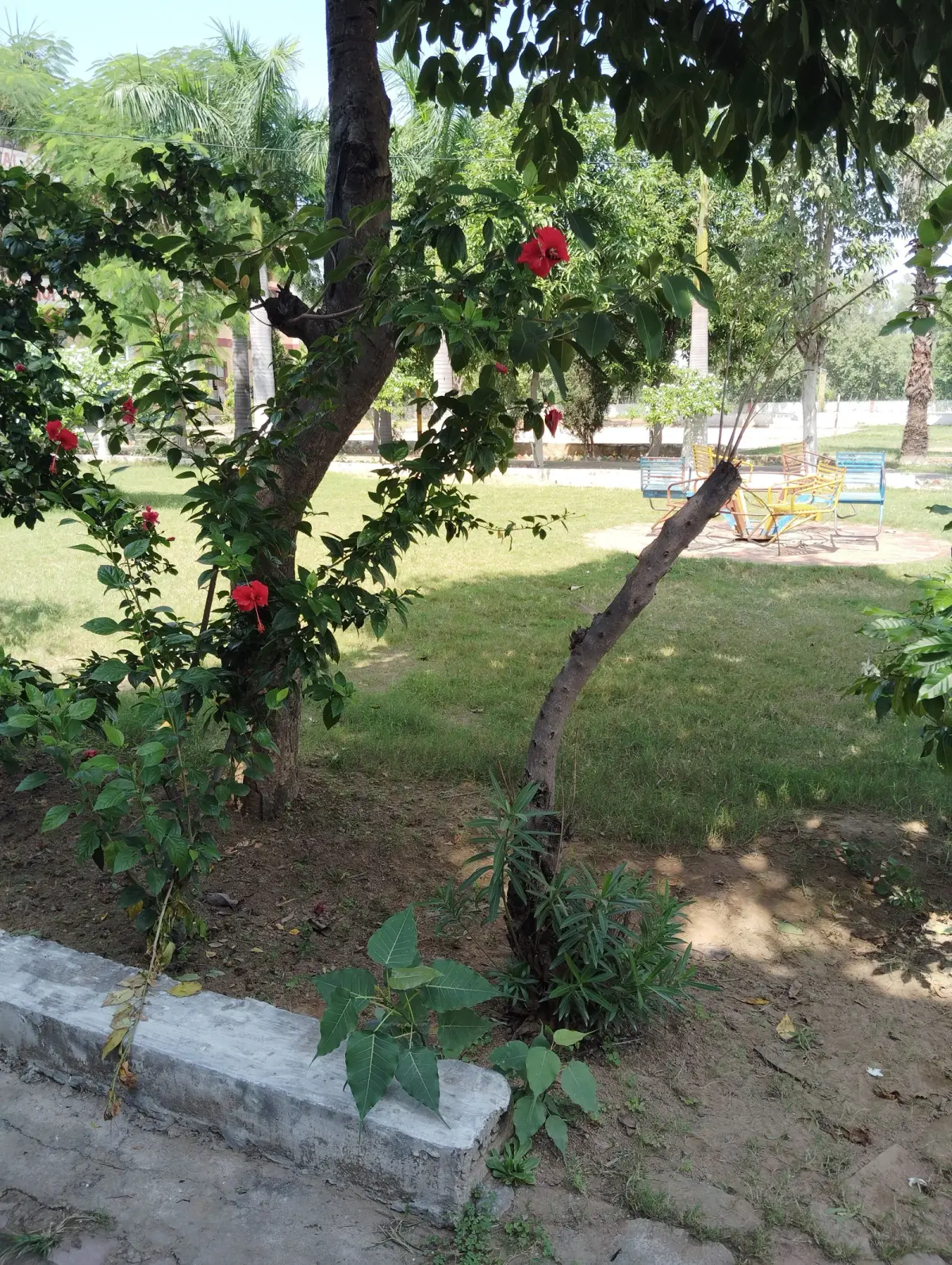 Bhimeshwari Devi College of Education: campus photo 3