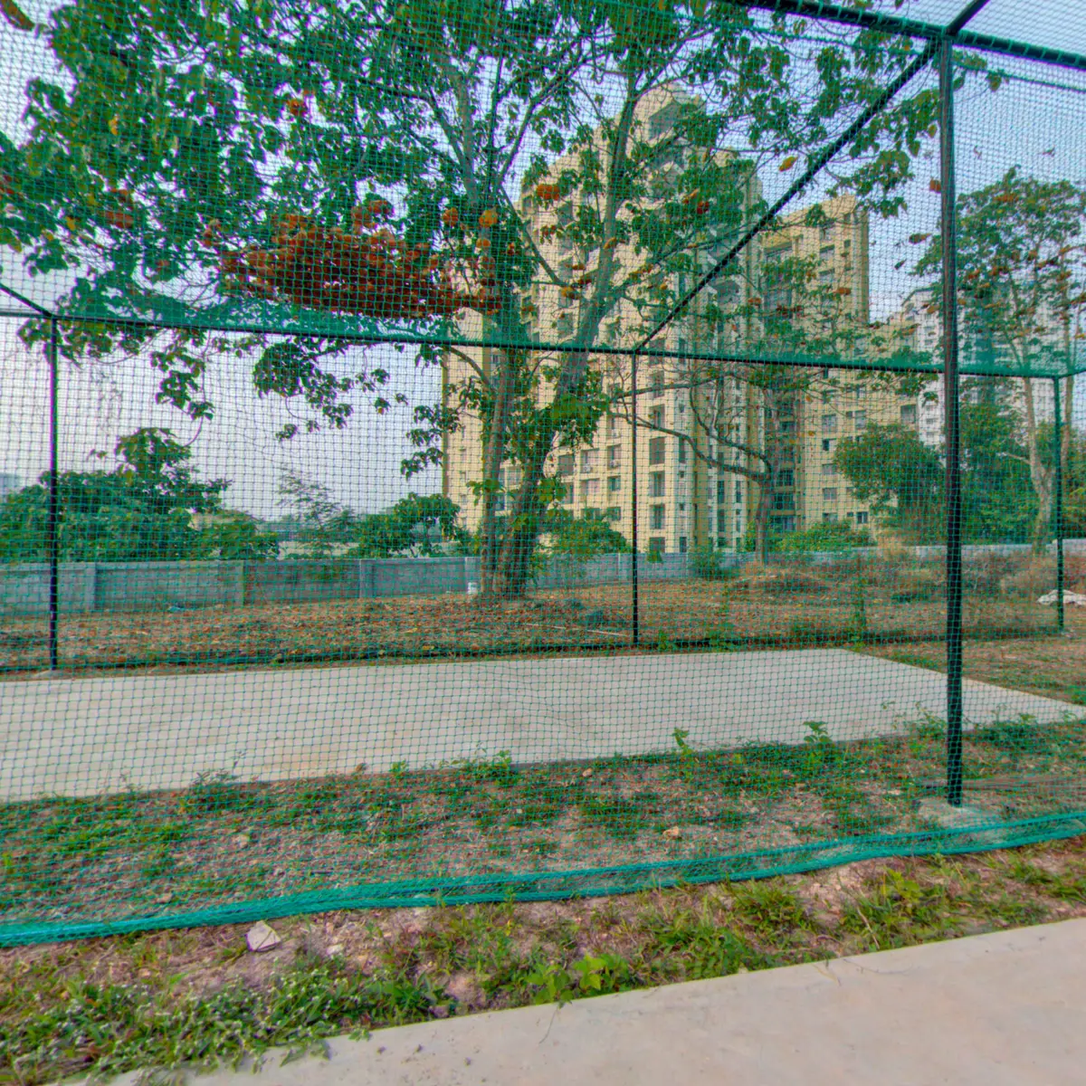 Bharata Mata Institute of Management (BMIM): campus photo 2
