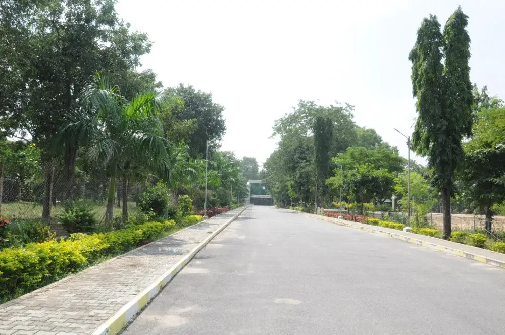 C. Abdul Hakeem College: campus photo 4