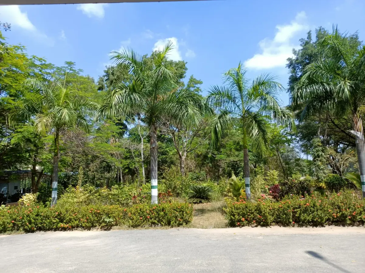 C. Abdul Hakeem College: campus photo 3