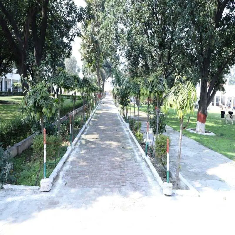 Ch. Mahendra Singh Degree College: campus photo 8