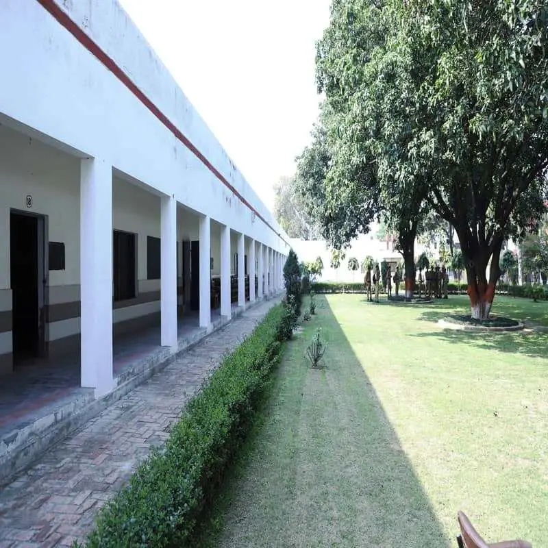 Ch. Mahendra Singh Degree College: campus photo 7