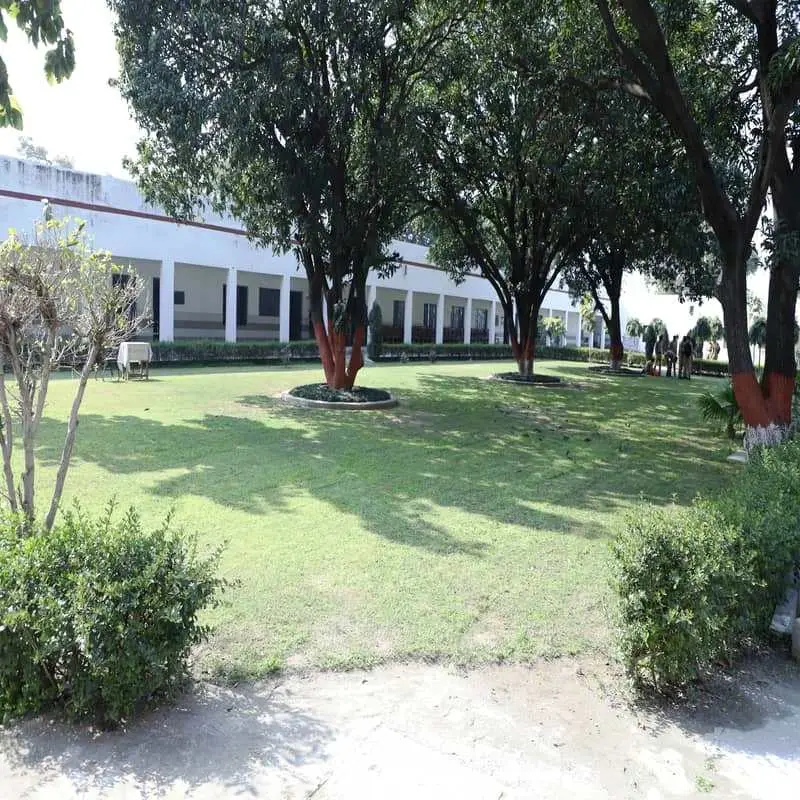 Ch. Mahendra Singh Degree College: campus photo 6