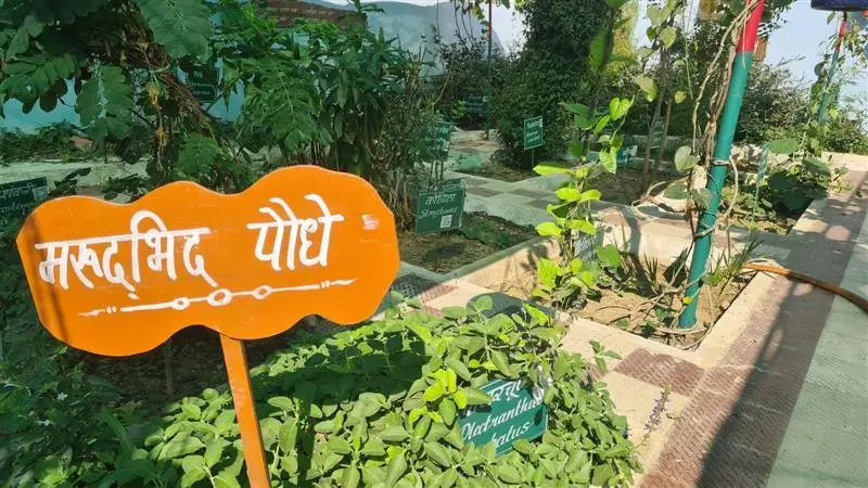 Chaitanya College Pamgarh: campus photo 5