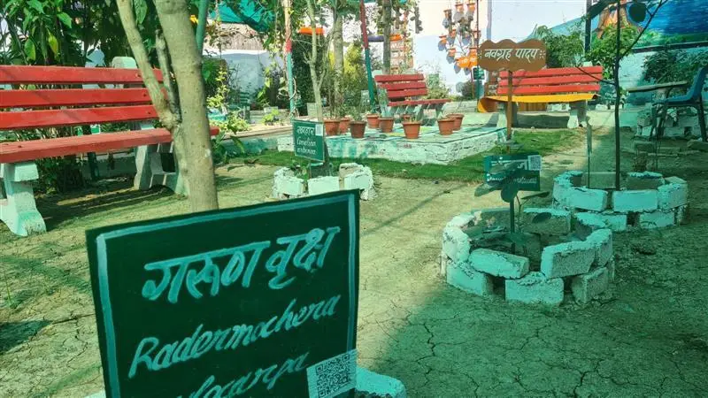 Chaitanya College Pamgarh: campus photo 6