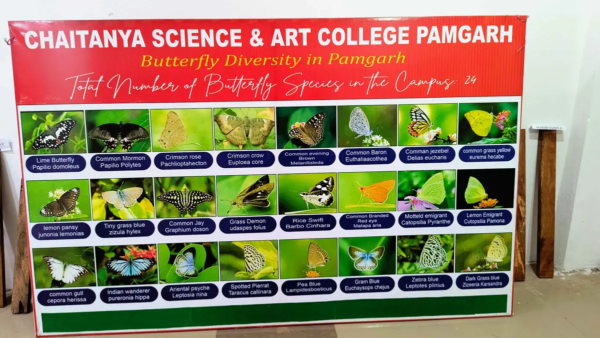Chaitanya Science and Arts College Pamgarh campus photo 4