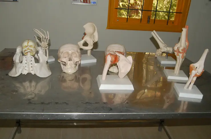 Chanakya College of Physiotherapy campus photo 1
