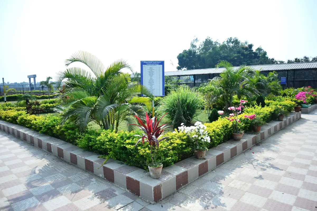 Chandidas Mahavidyalaya: campus photo 6
