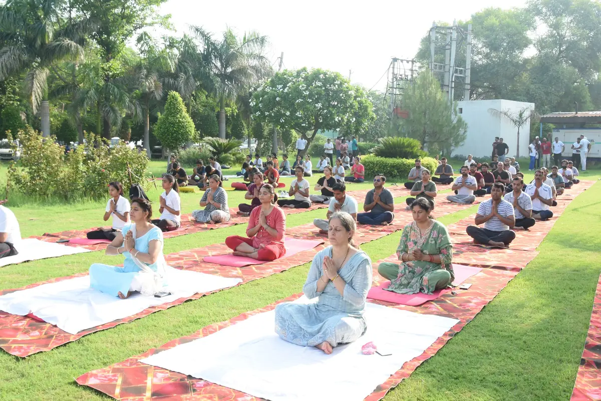 Chaudhary Bansi Lal University: campus photo 7
