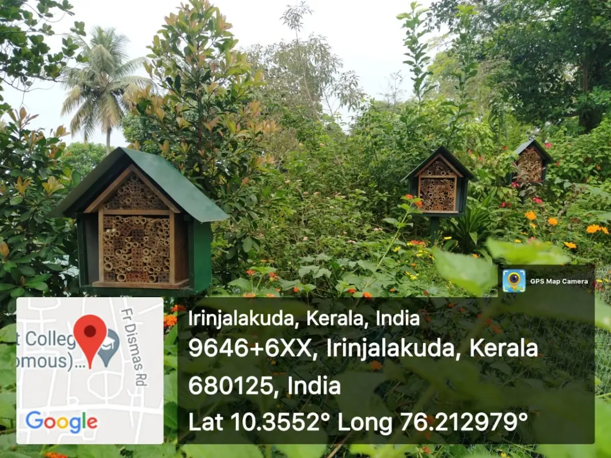 Christ College, Itinjalakuda: campus photo 6