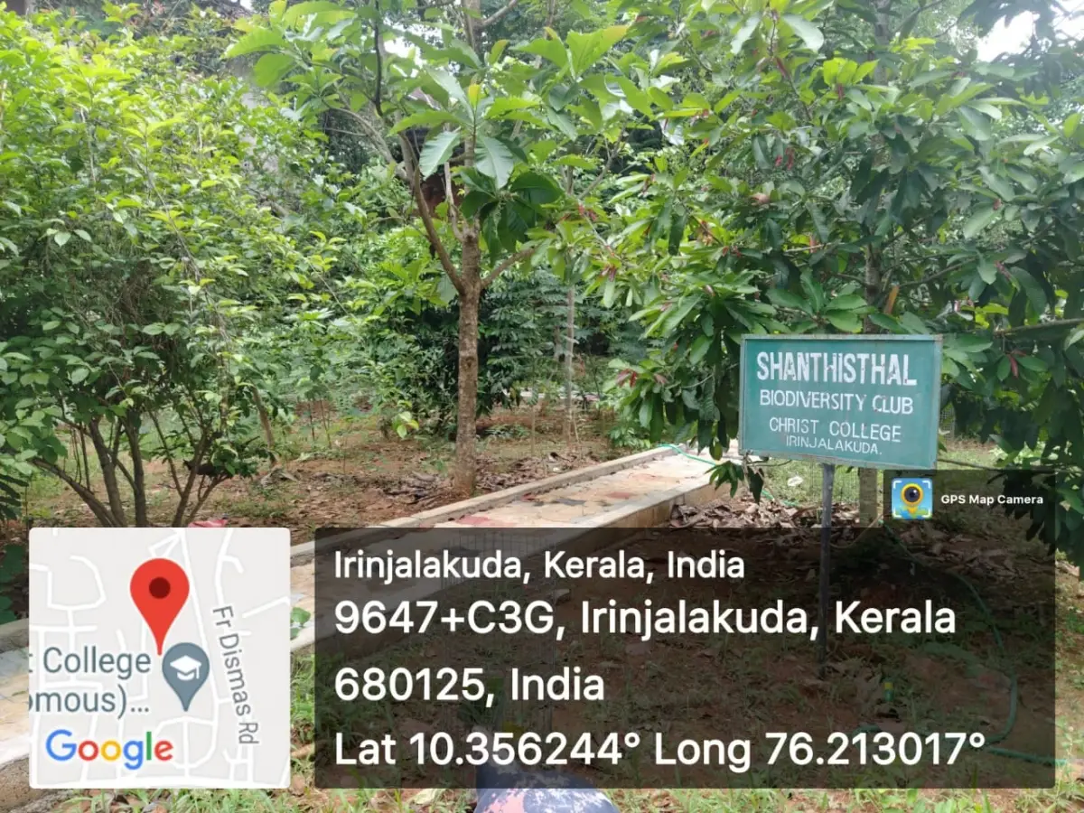 Christ College, Itinjalakuda: campus photo 7