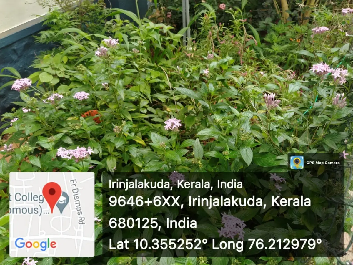 Christ College, Itinjalakuda: campus photo 5