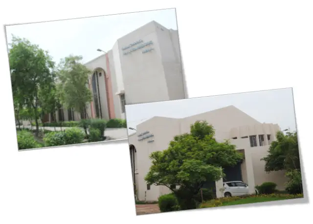 D.A.V. College campus photo 2
