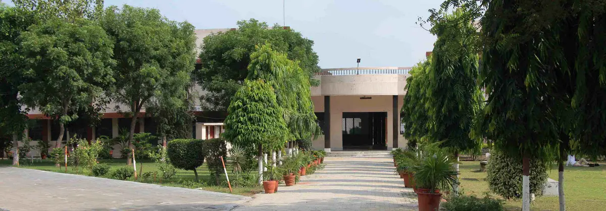 D.A.V. College: campus photo 1