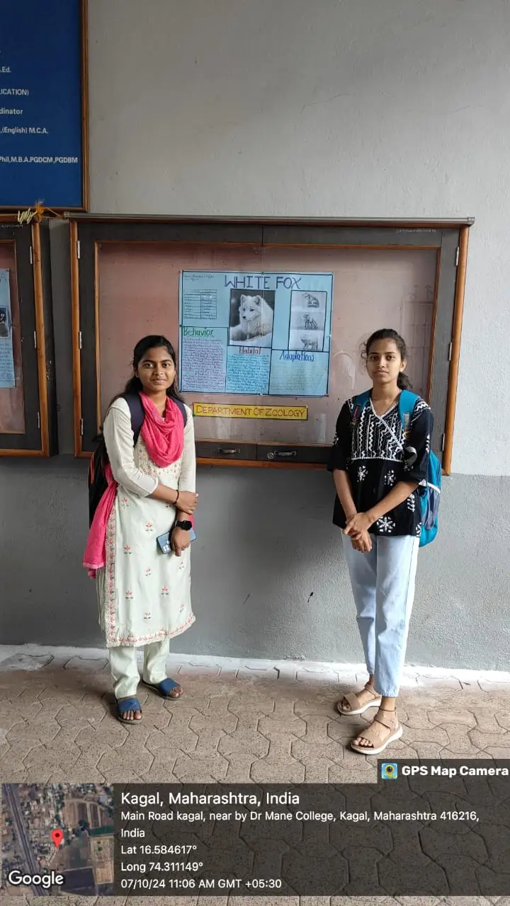 D. R. Mane Mahavidyalaya: campus photo 5