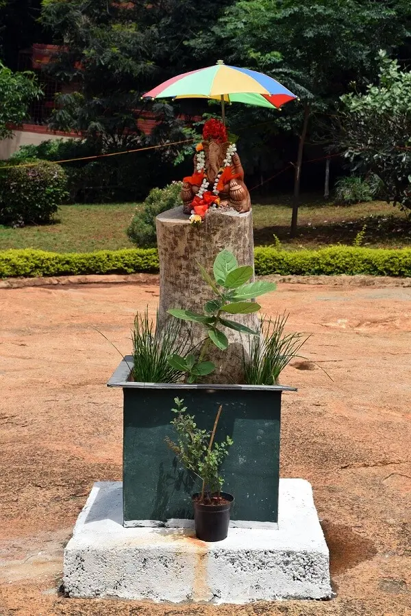 Dayananda Sagar College Of Engineering – DSCE: campus photo 8