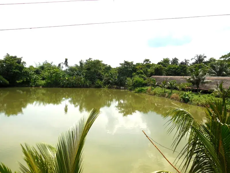 Dhamait Sikshak Shikshan Mahavidyalaya: campus photo 6