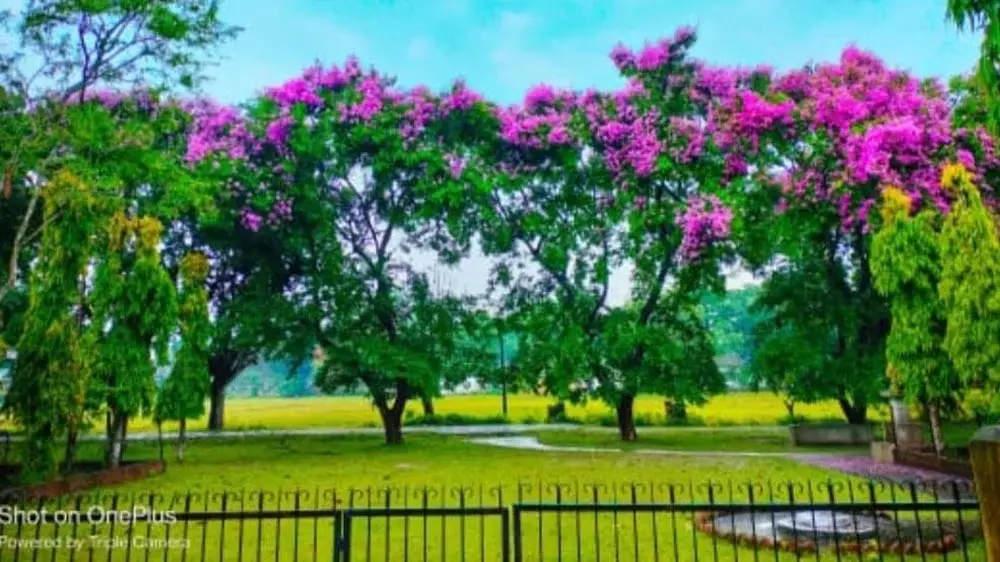 Diet Darrang: campus photo 4