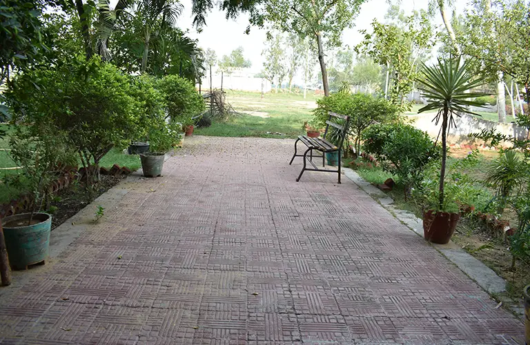 Disha College of Education: campus photo 5