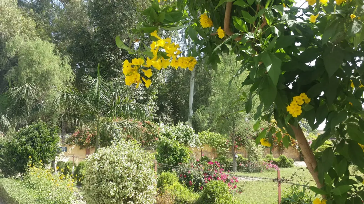 Dr. Bhim Rao Ambedkar Government College: campus photo 3