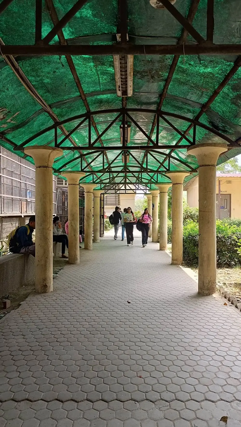 Dyal Singh Evening College: campus photo 3