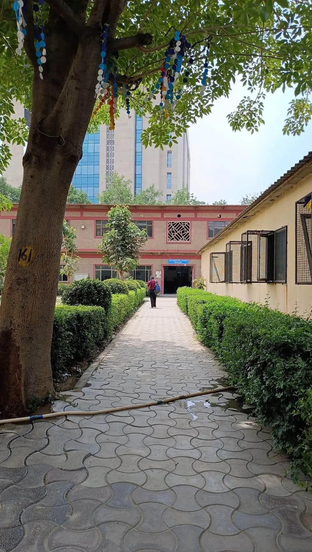 Dyal Singh Evening College: campus photo 2