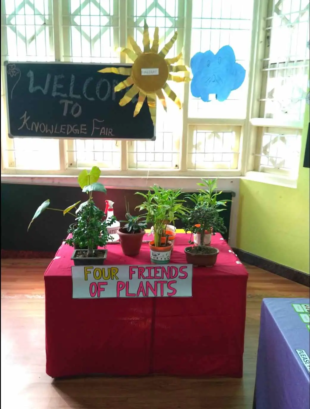 EuroKids Preschool: campus photo 4
