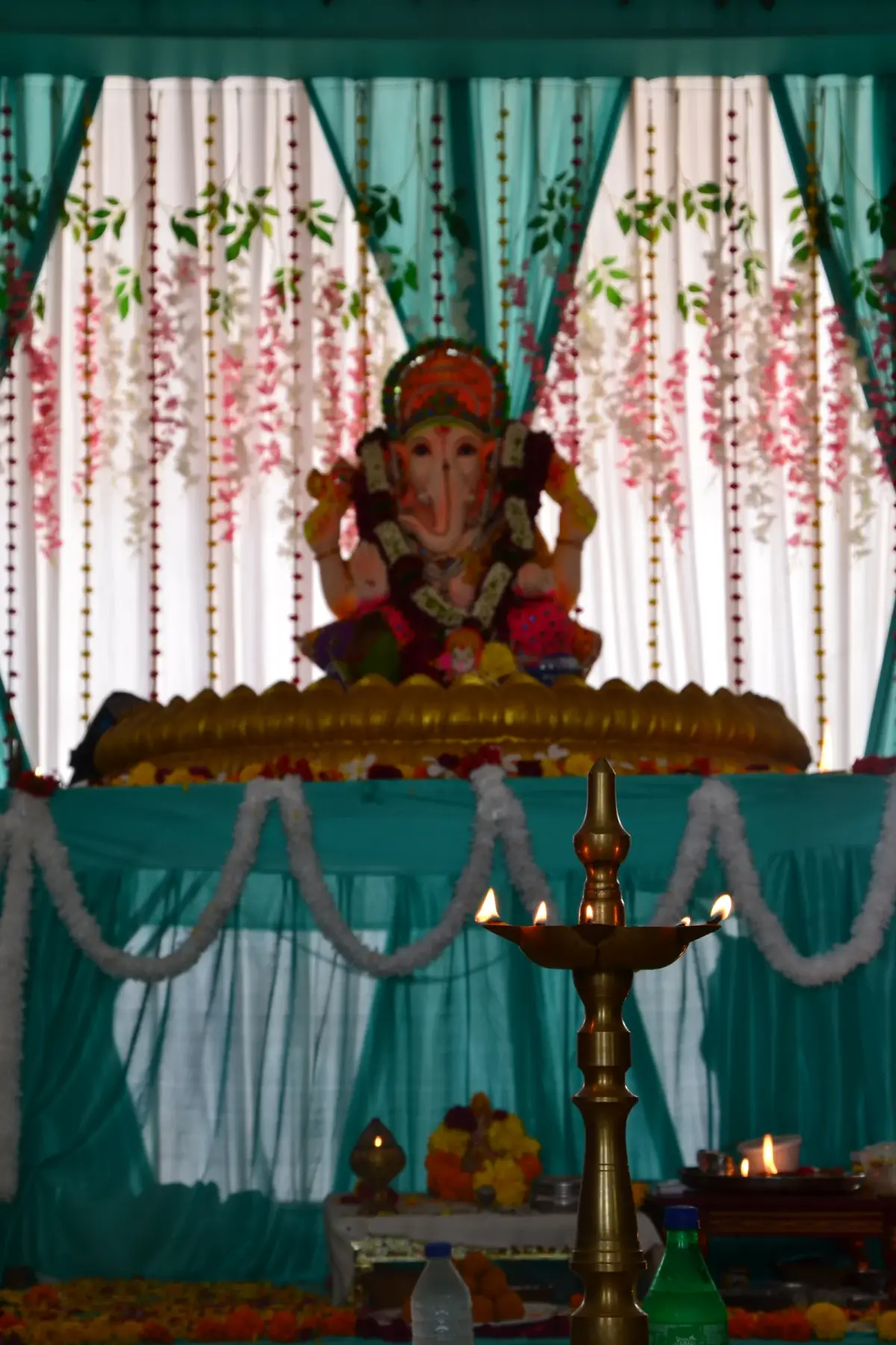 Gandhinagar Homeopathic Medical College: campus photo 7