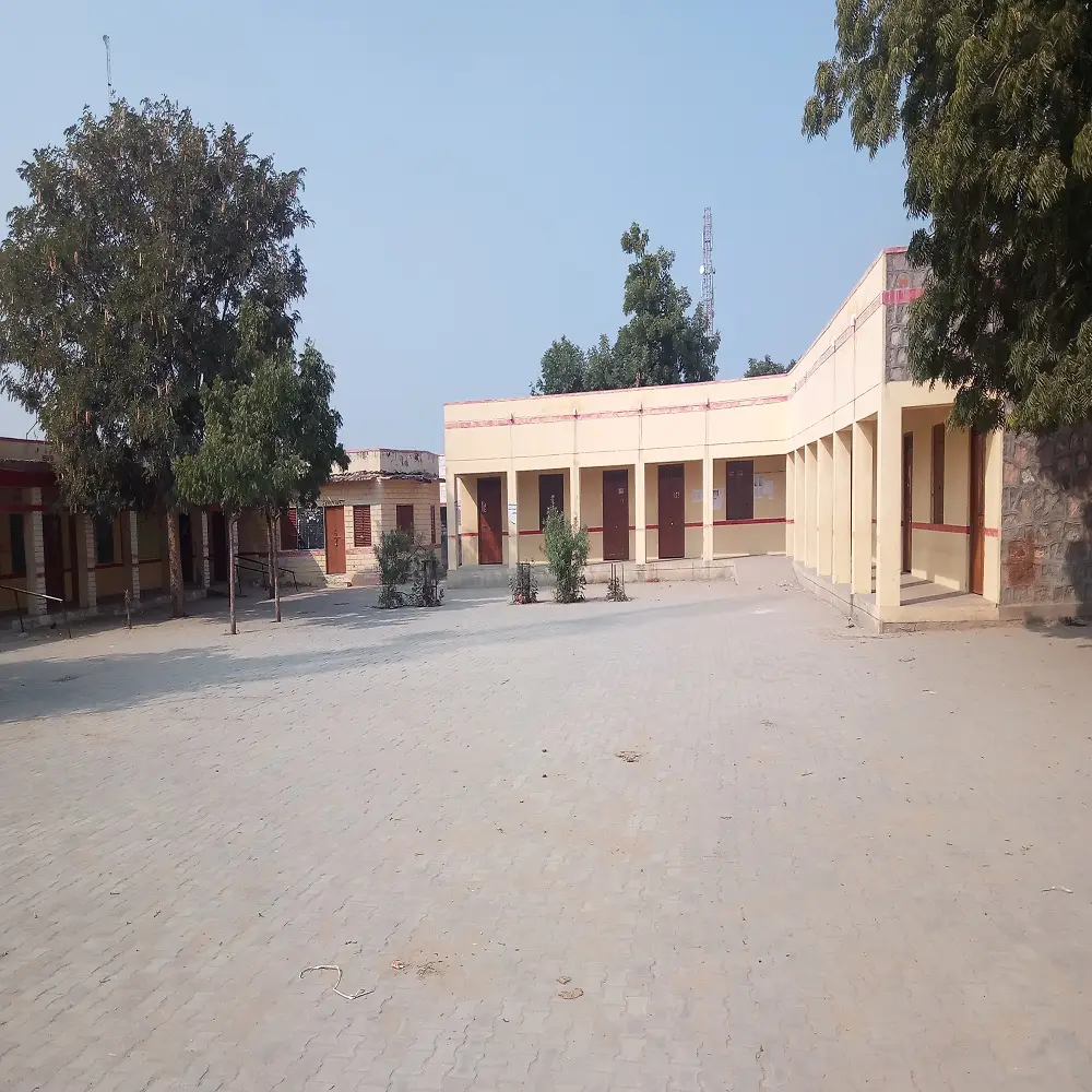 Government College Chitalwana: campus photo 2