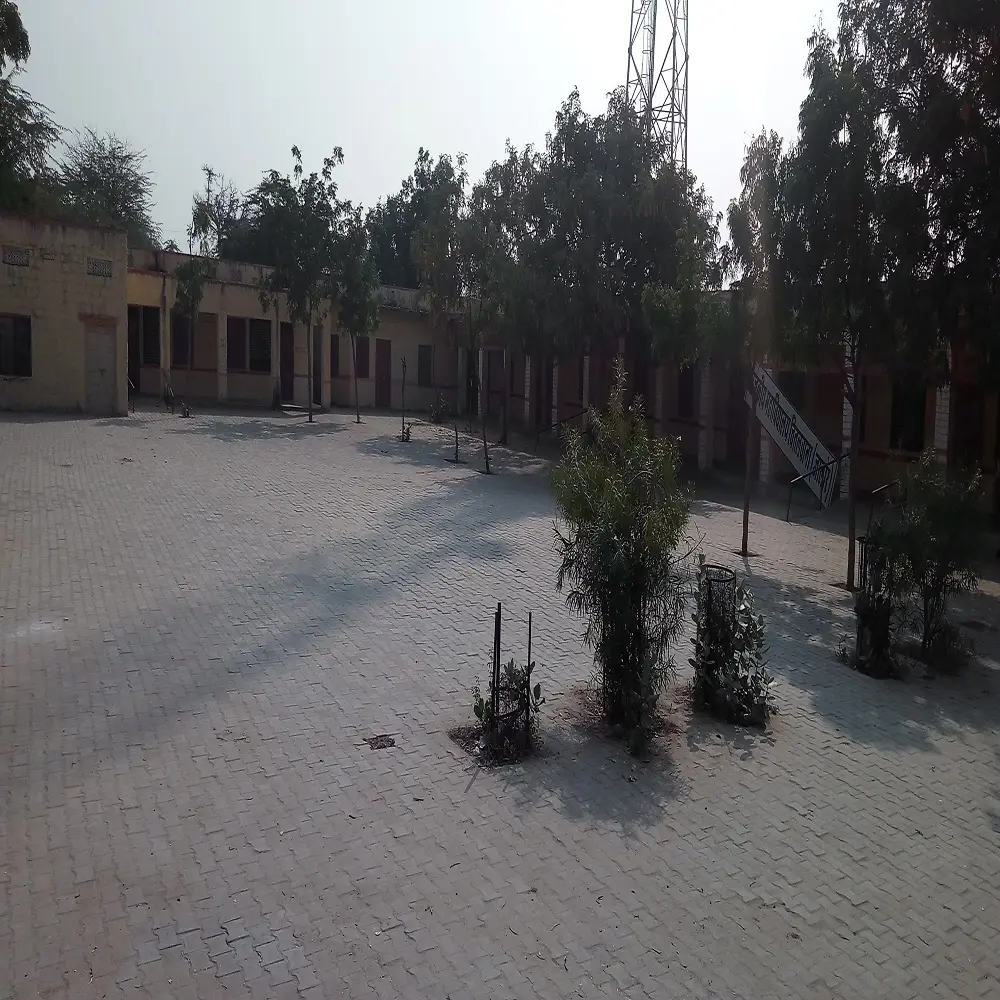 Government College Chitalwana: campus photo 1