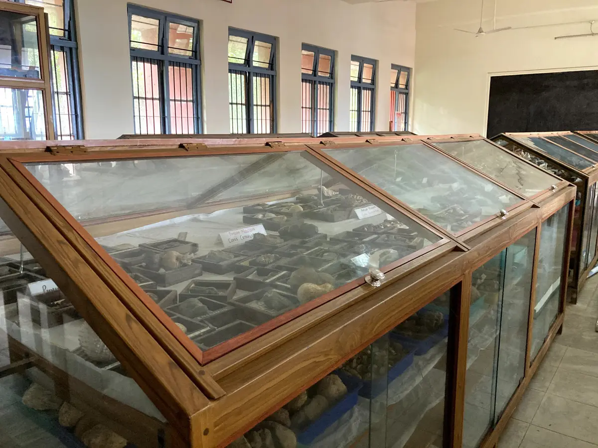 Government College Kasaragod: campus photo 4