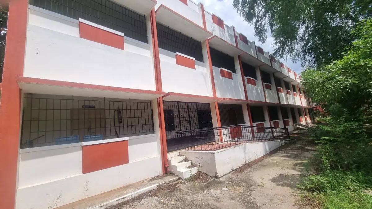 Government College of Education: campus photo 5