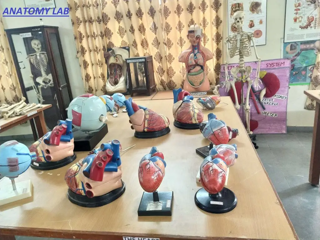 Government College of Nursing: campus photo 8