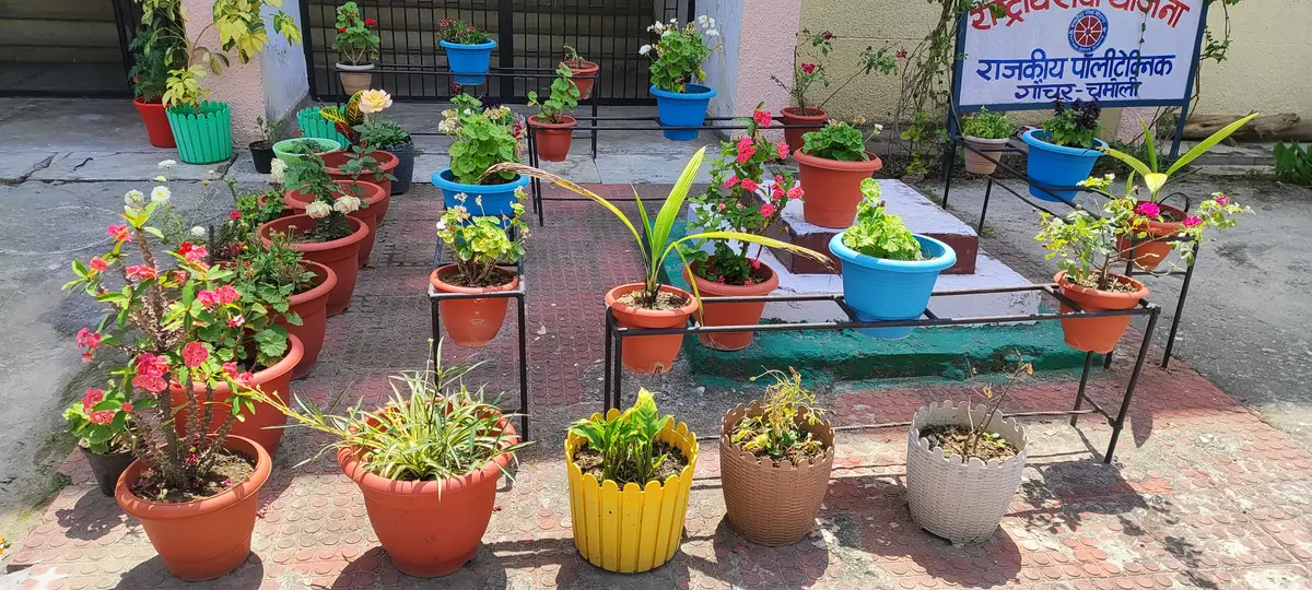 Government Polytechnic: campus photo 5