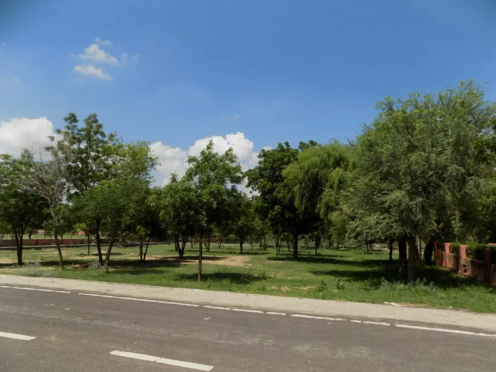 Government Polytechnic College: campus photo 2