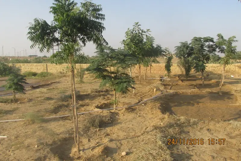 Government Polytechnic College: campus photo 6