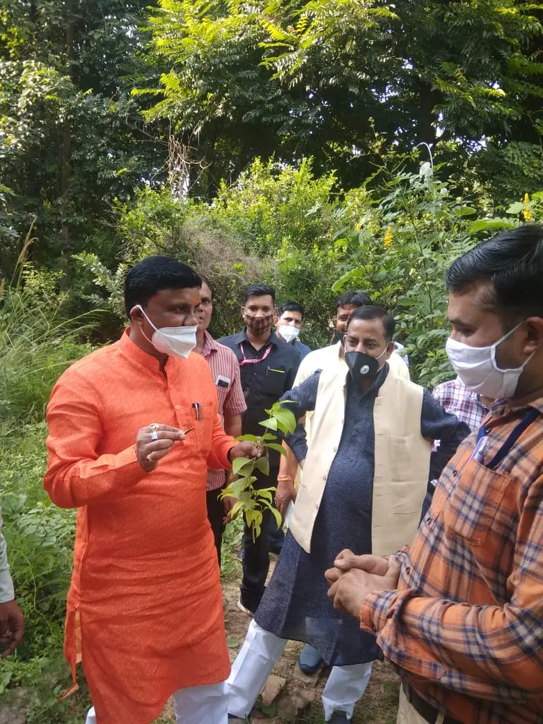 Govt Autonomous Ayurved College Gwalior: campus photo 7