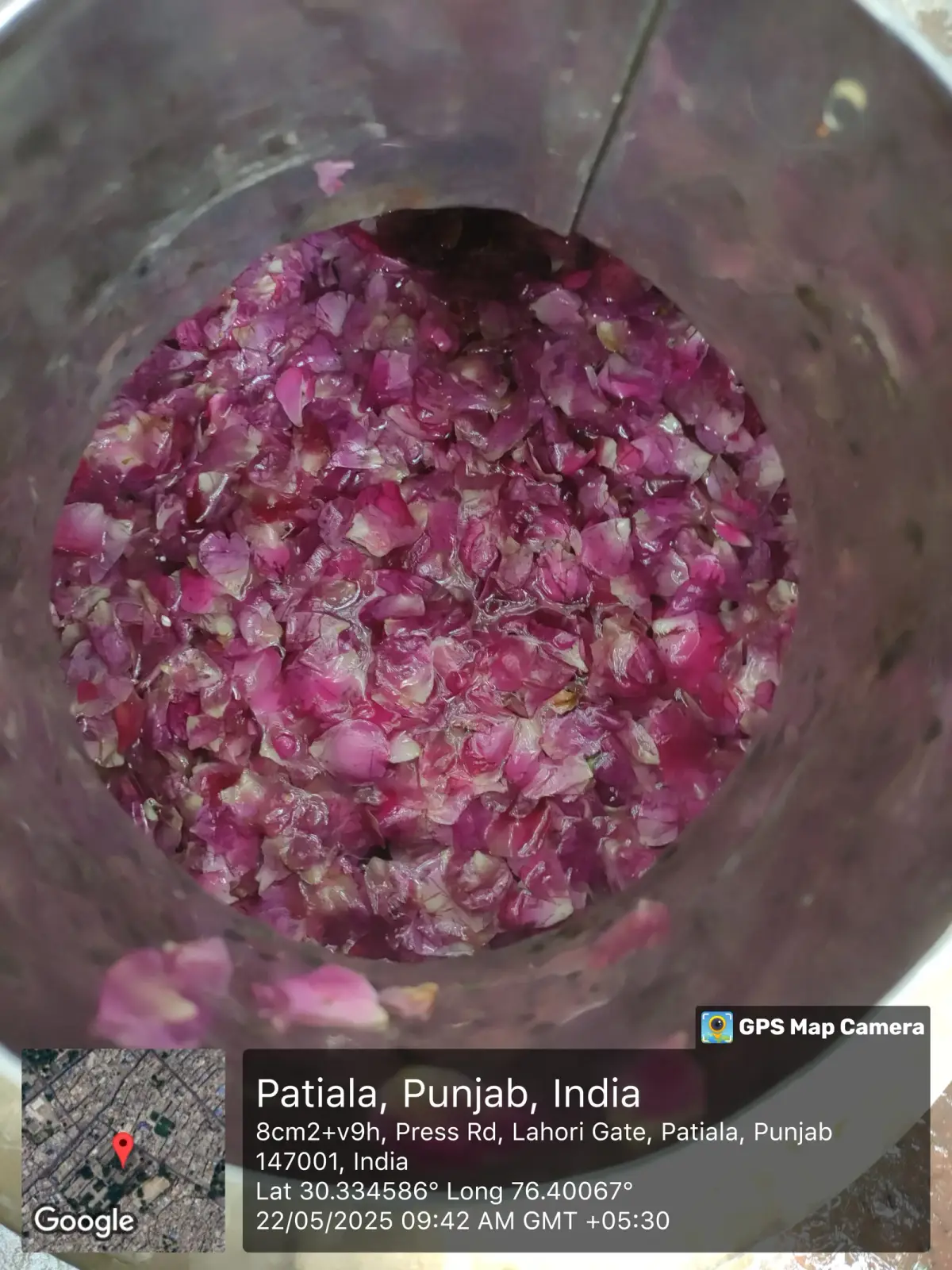 Govt. Ayurvedic College: campus photo 7