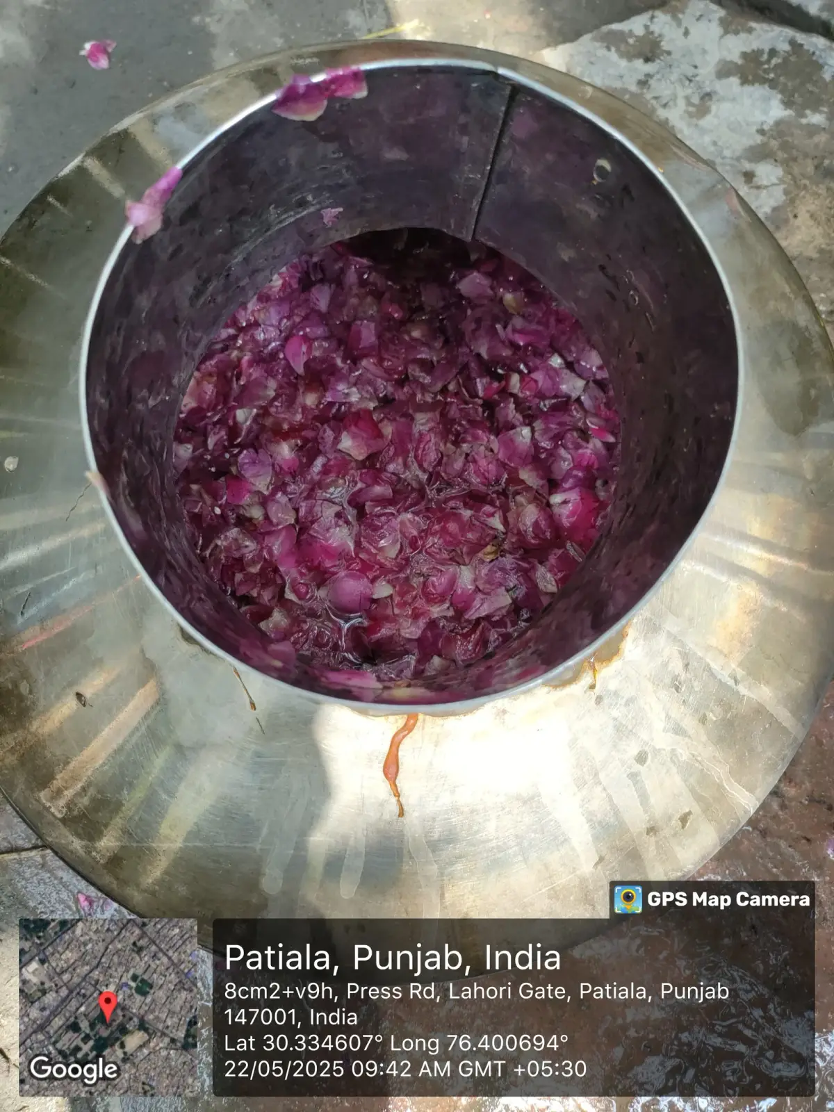 Govt. Ayurvedic College: campus photo 5