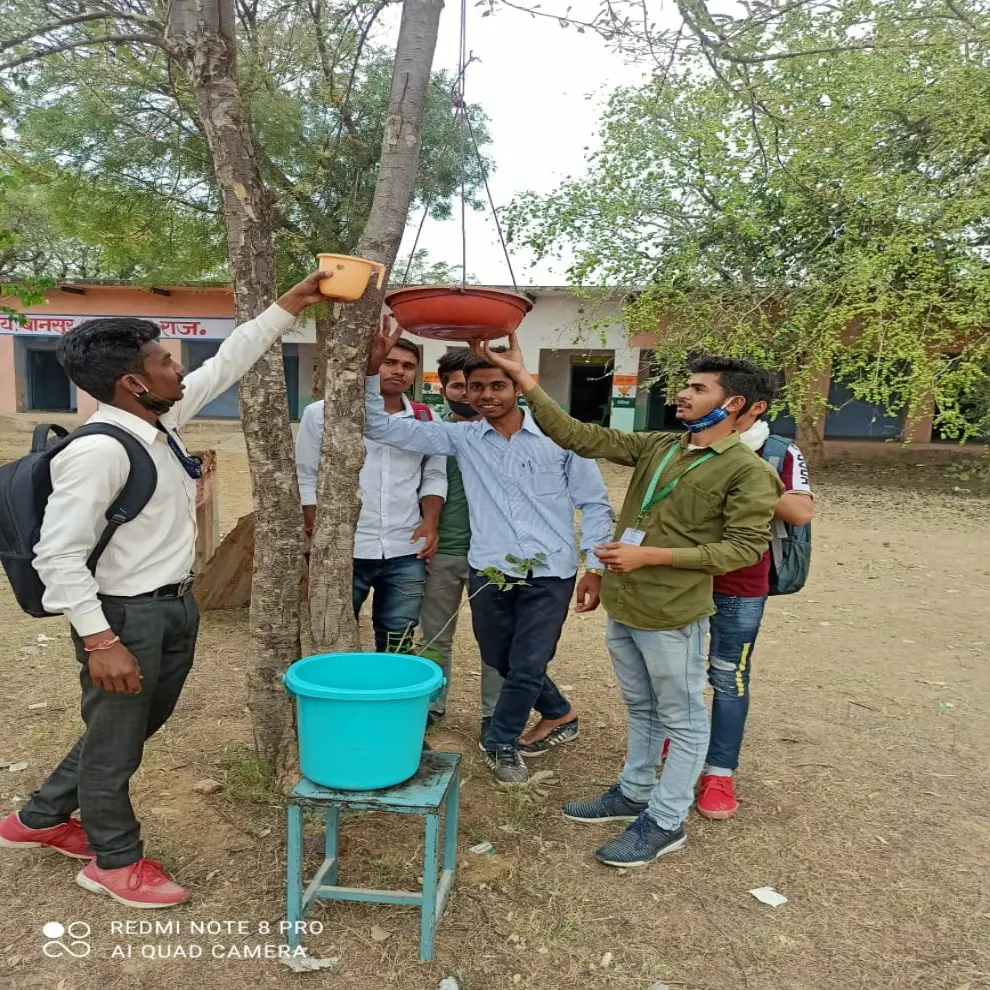 Govt. College Bansur: campus photo 6
