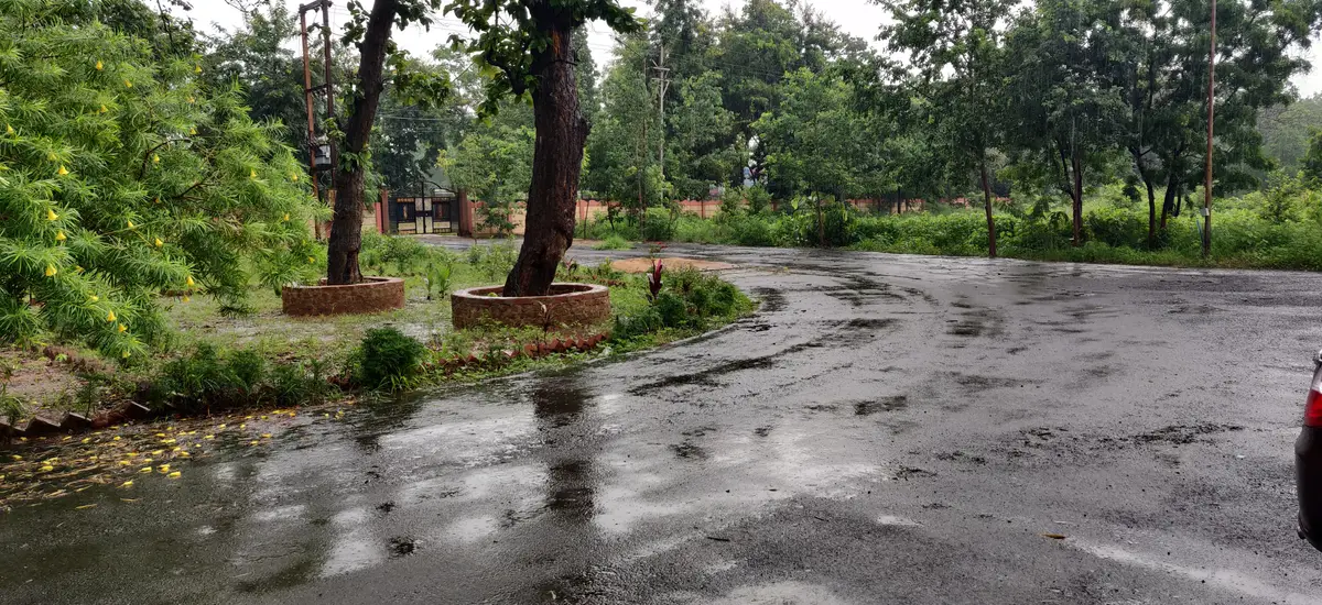 Govt. College: campus photo 6