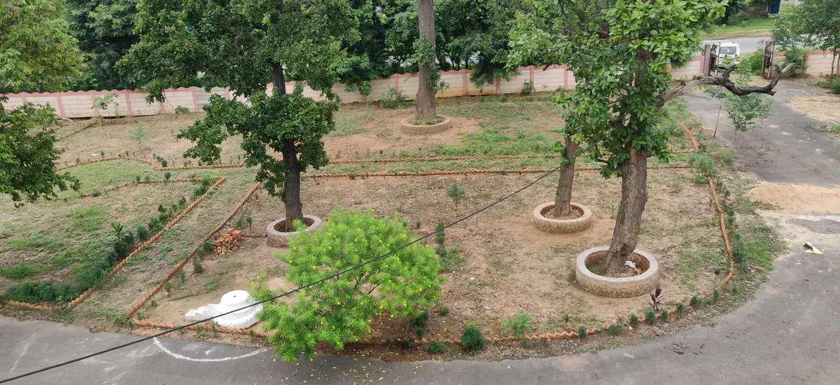 Govt. College: campus photo 7