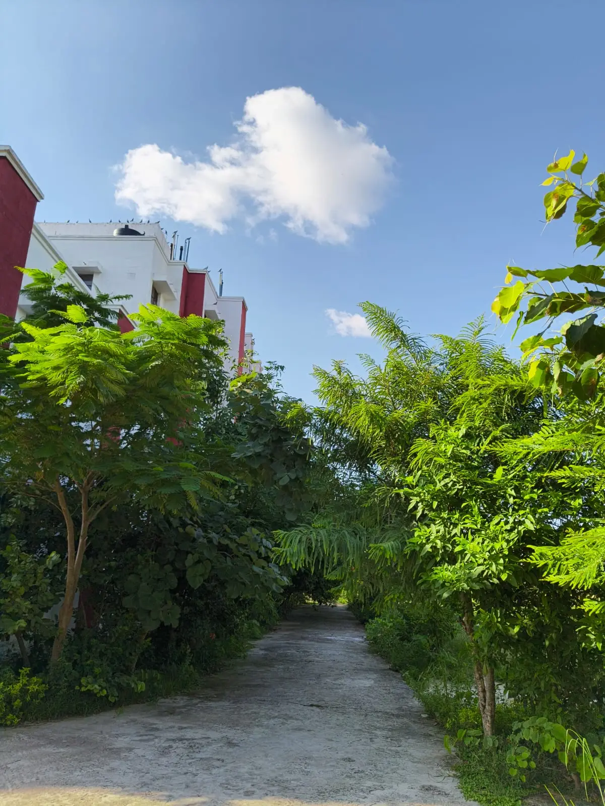 Govt Degree College Barakhal Mehdaval Santkabir Nagar: campus photo 4