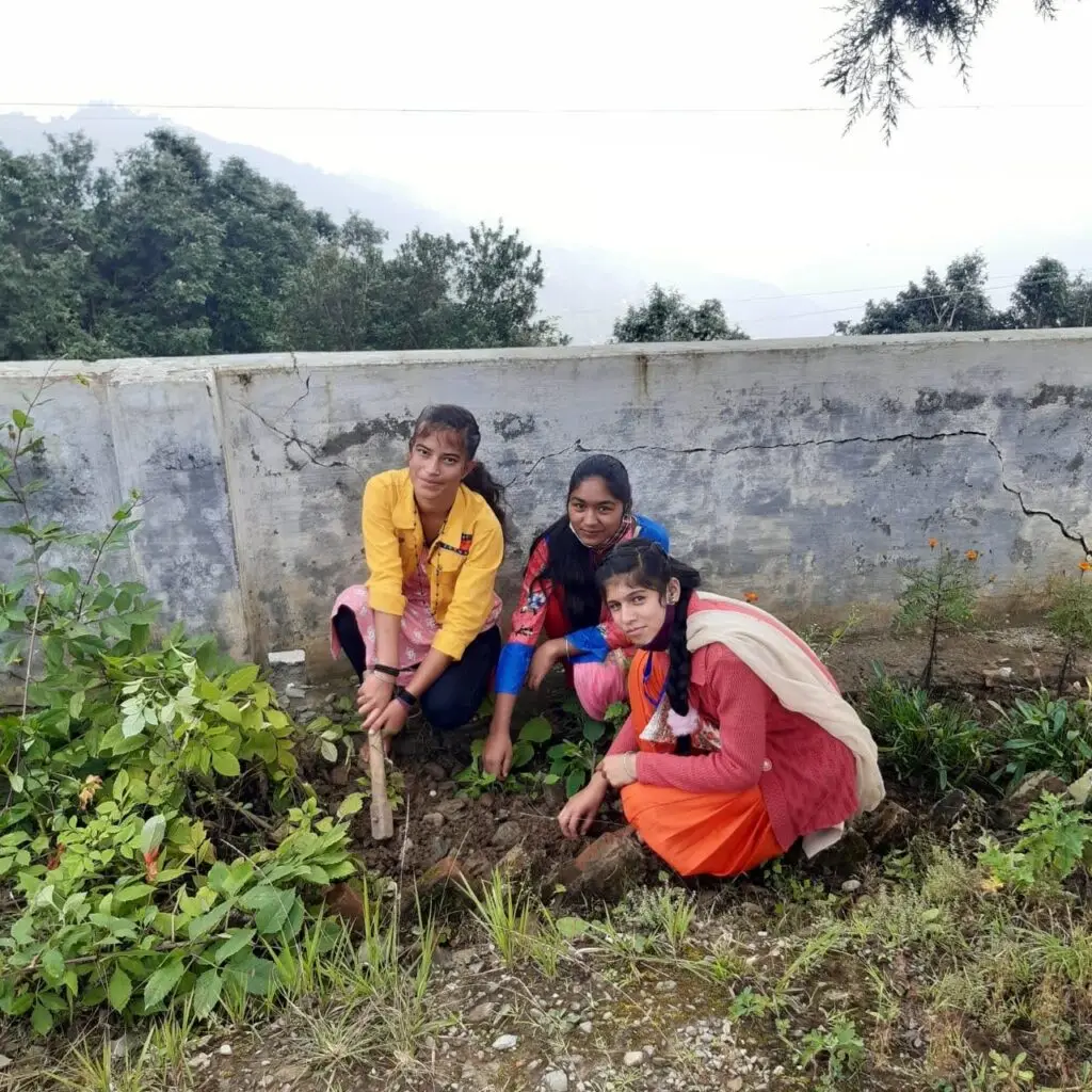 Govt. Degree College, Naikhari campus photo 8