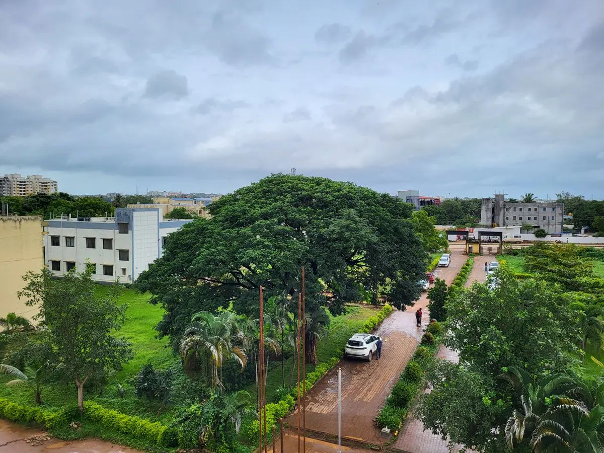 Hass Institute of Nursing Sciences: campus photo 7