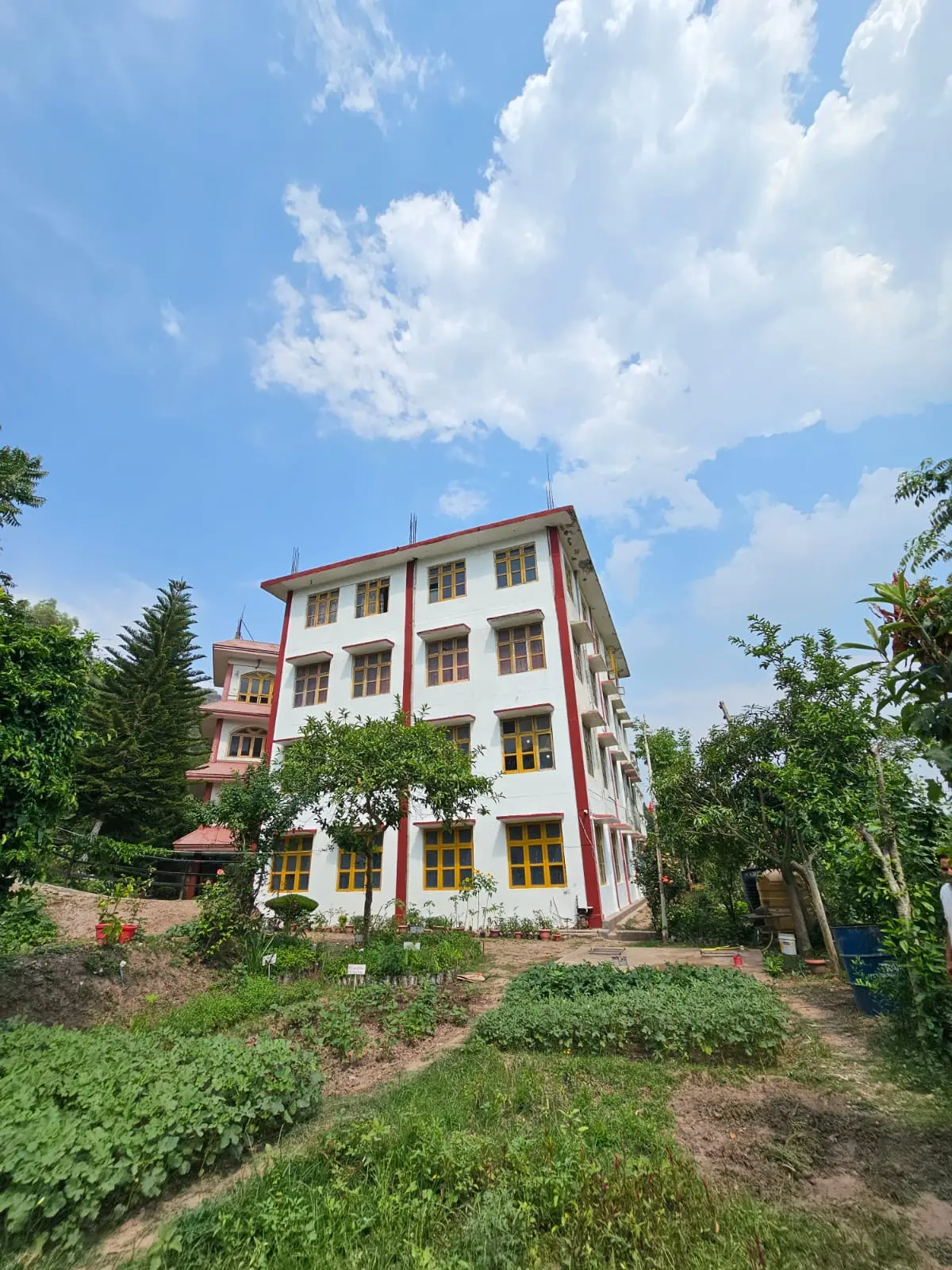 Himalayan College of Education: campus photo 7