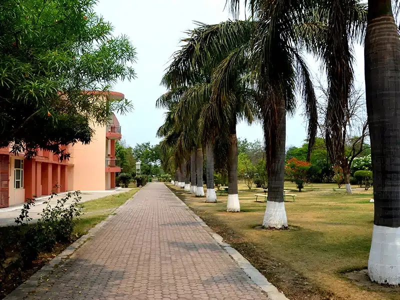 Himalayan School of Management Studies campus photo 7